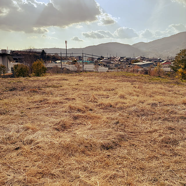 ayayayayaさんの部屋