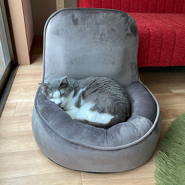ichikoさんの実例写真