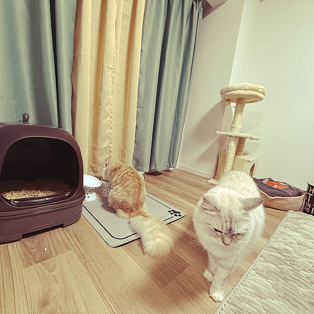 Rikkoさんの実例写真