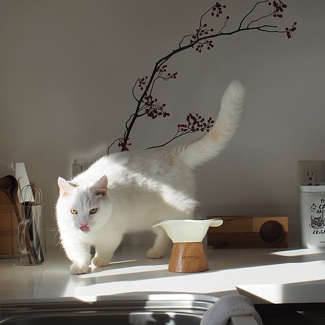 tomatoさんの部屋