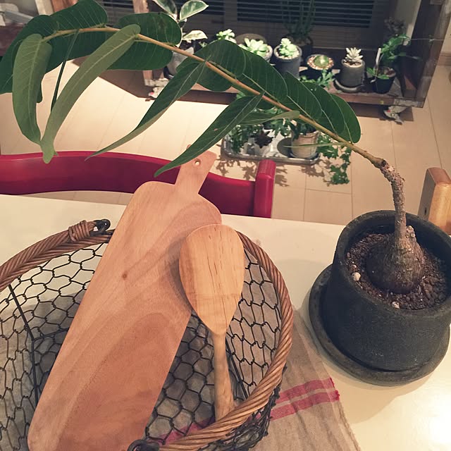 marley0209さんの実例写真
