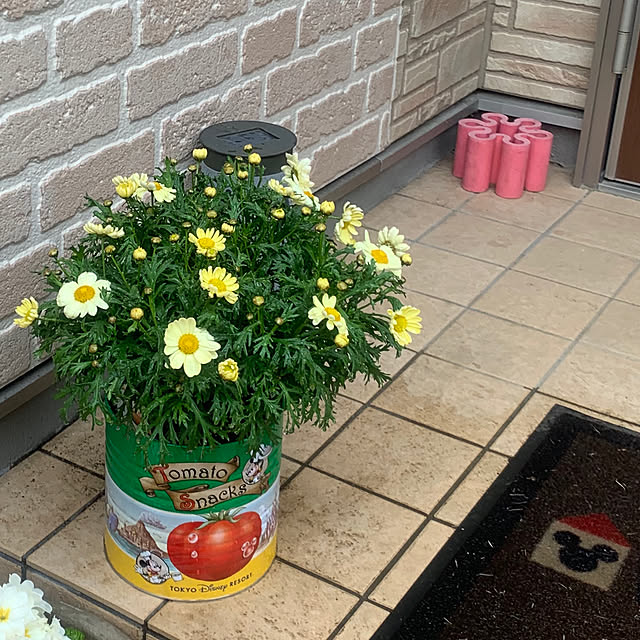 yukky_shootstarさんの実例写真