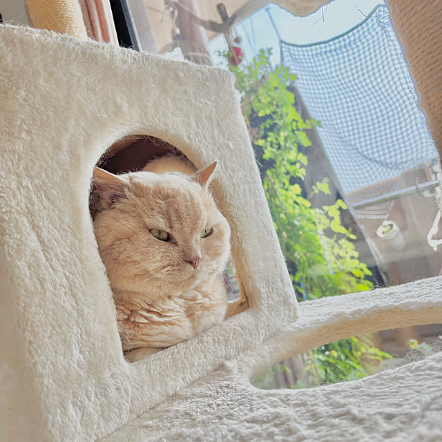 naokoさんの部屋