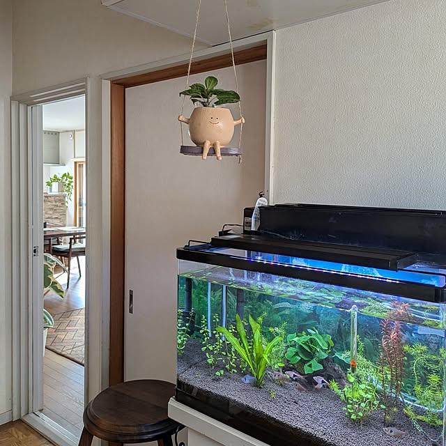 Renさんの部屋