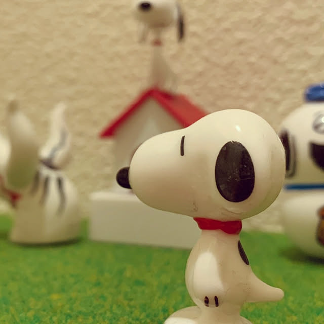 SHiNさんの実例写真