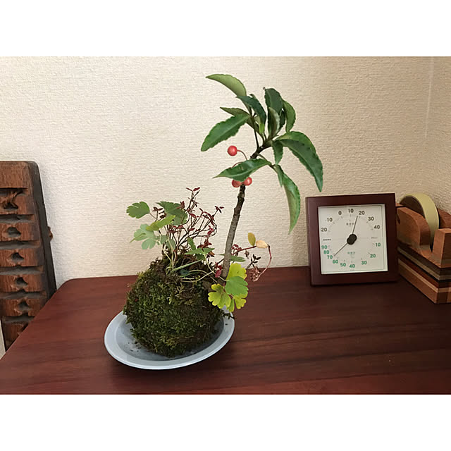 SARON_TSUBAKIさんの実例写真