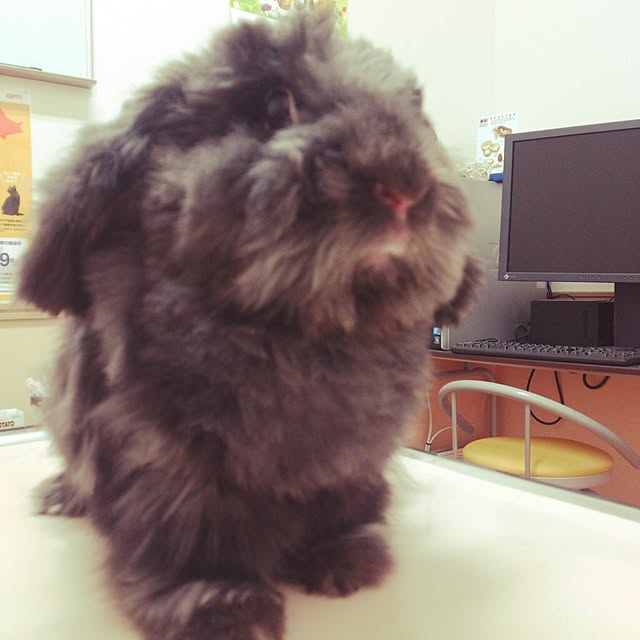 michikoさんの実例写真