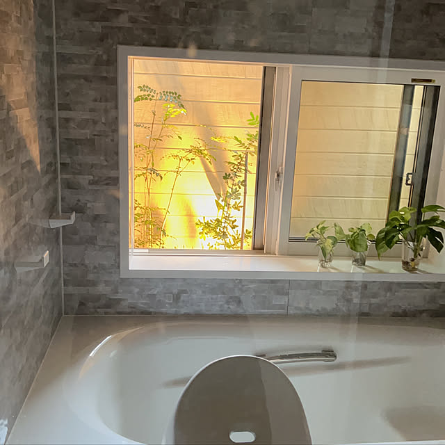 観葉植物/バス/トイレのインテリア実例 - 2022-06-09 13:26:06