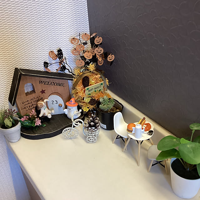 shinoshinoさんの実例写真