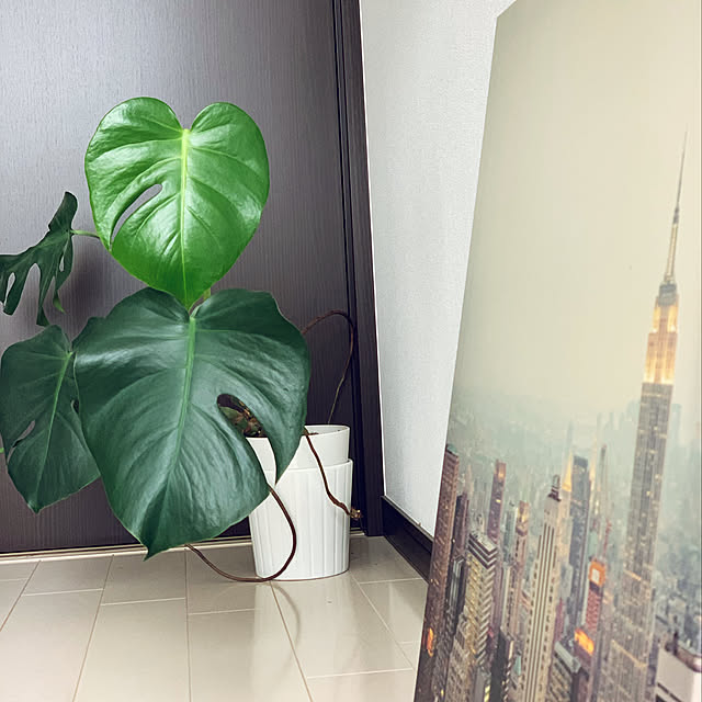 belleさんの実例写真