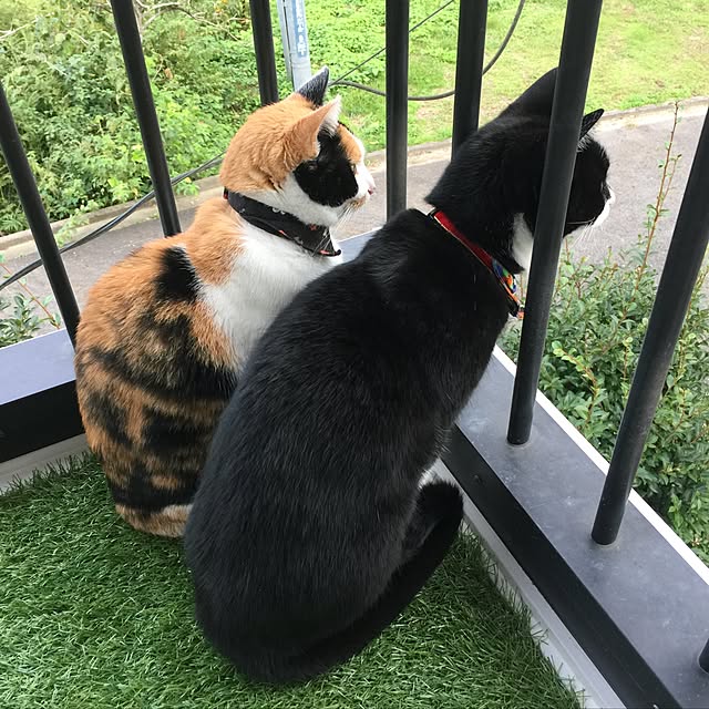 mtkさんの実例写真