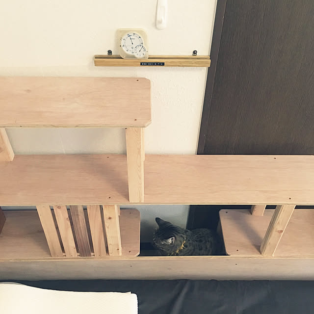 Mさんの実例写真