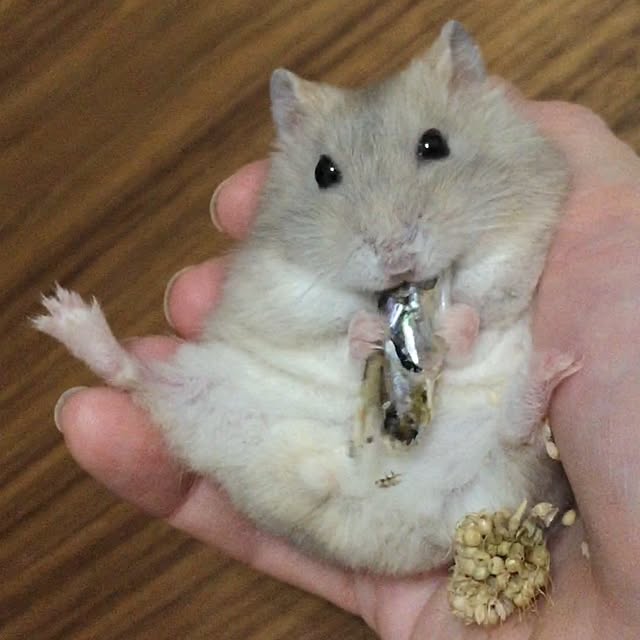 renorenoさんの実例写真
