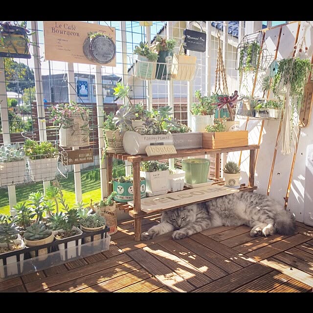 ayu__mamanさんの実例写真