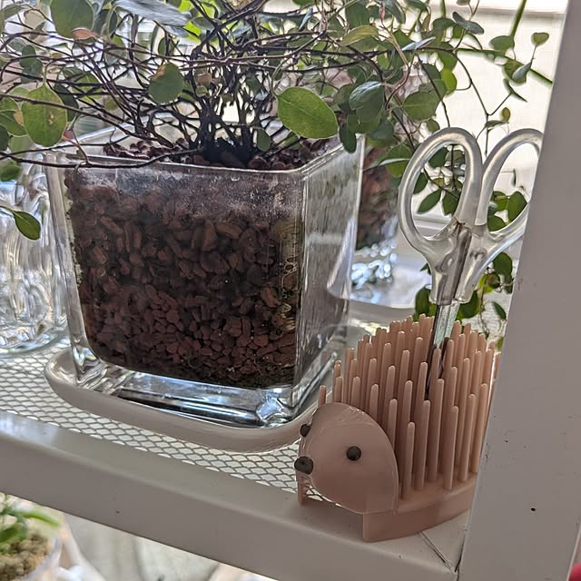 mi-saさんの部屋