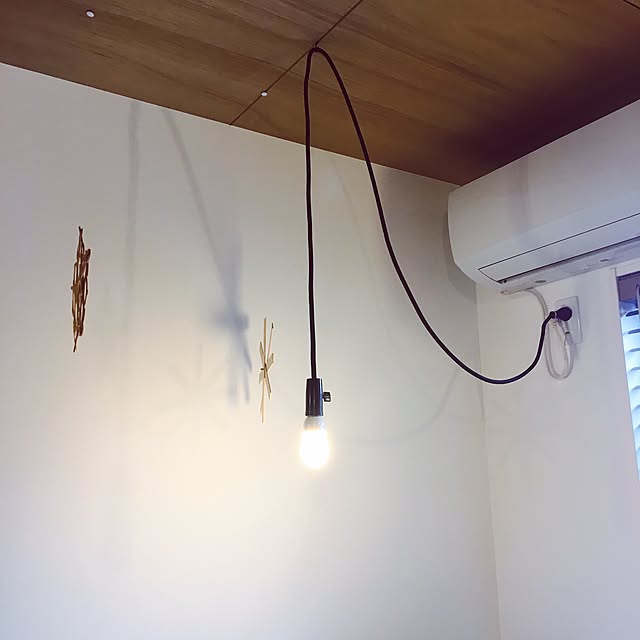 lifetoolbugさんの実例写真
