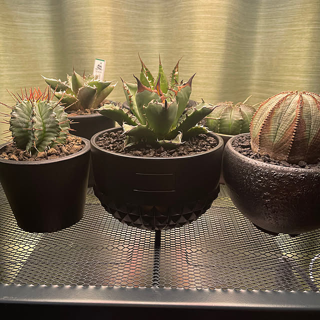 c.kさんの実例写真