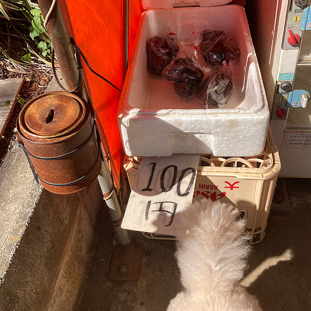 madamkaoriさんの部屋