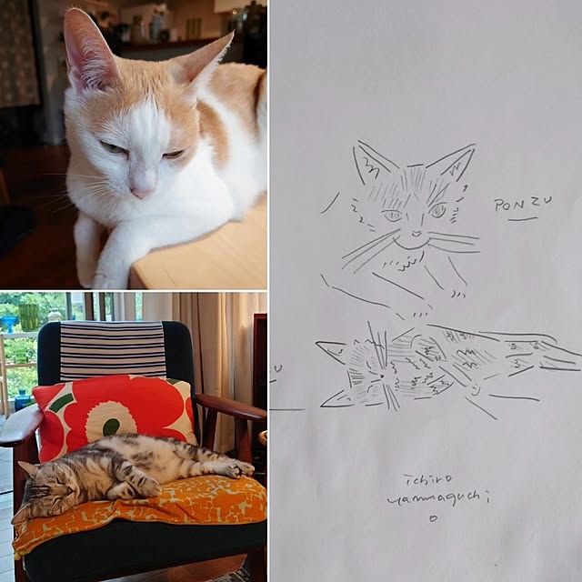 asmaさんの部屋