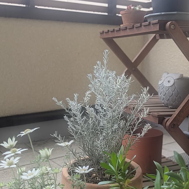 reeさんの実例写真