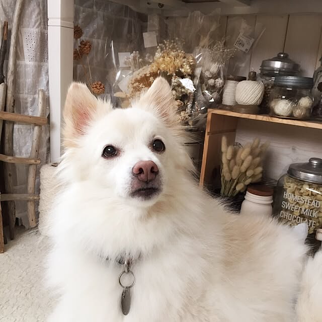 nonchanさんの実例写真