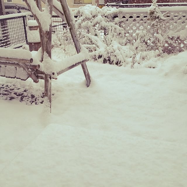 mayuoさんの実例写真