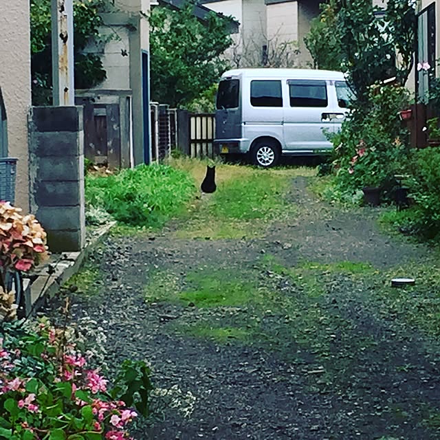 akihakonさんの実例写真