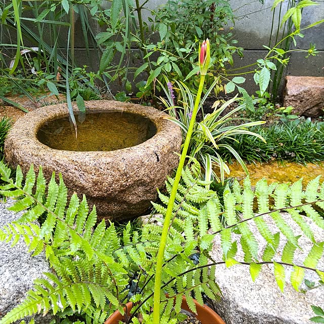 faunさんの部屋