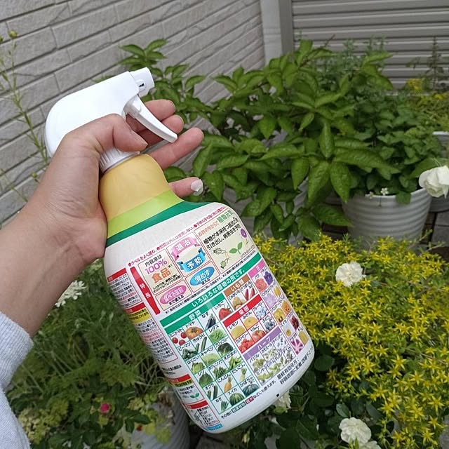 aiさんの実例写真