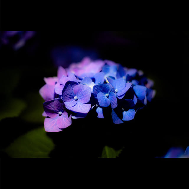 Shinya-atelierさんの実例写真