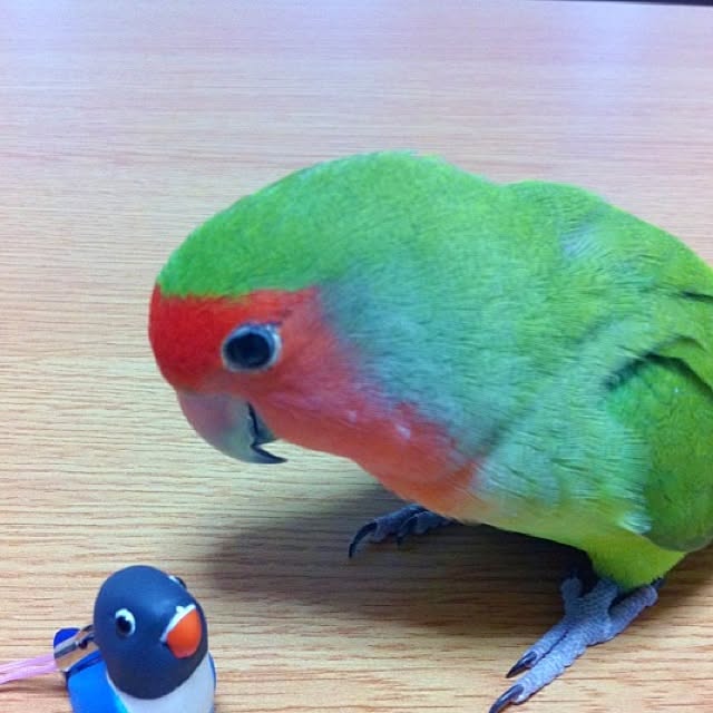 madokaさんの実例写真
