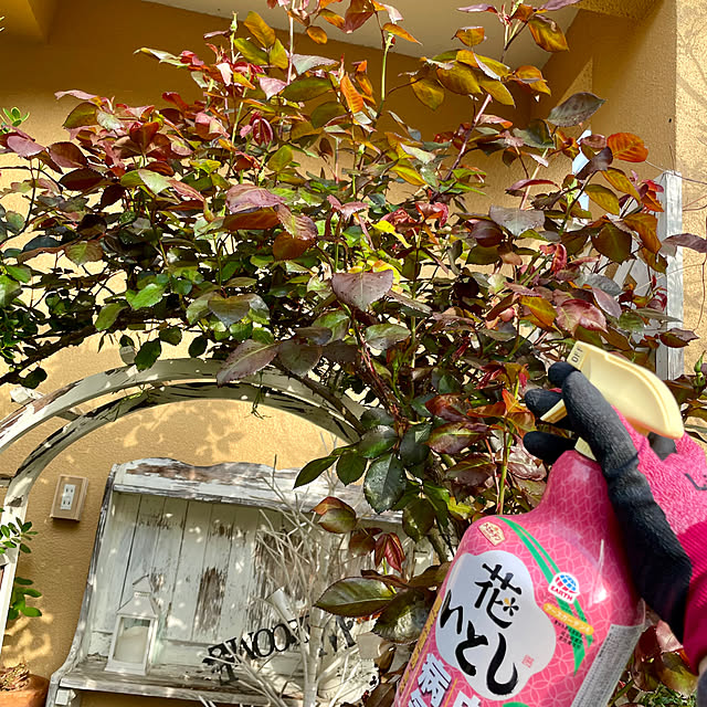 asako.10さんの部屋
