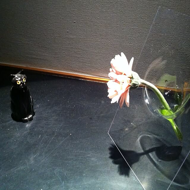 high_ginさんの実例写真