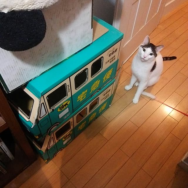 sakuraさんの実例写真