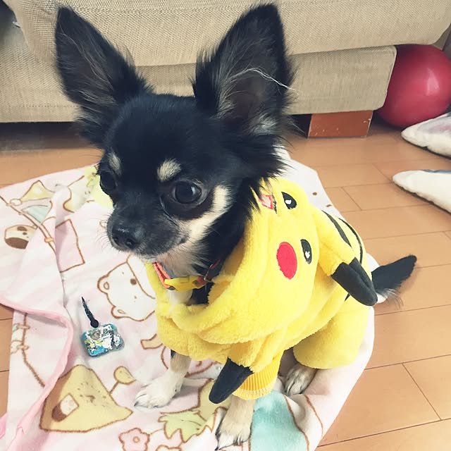 melumeluさんの実例写真