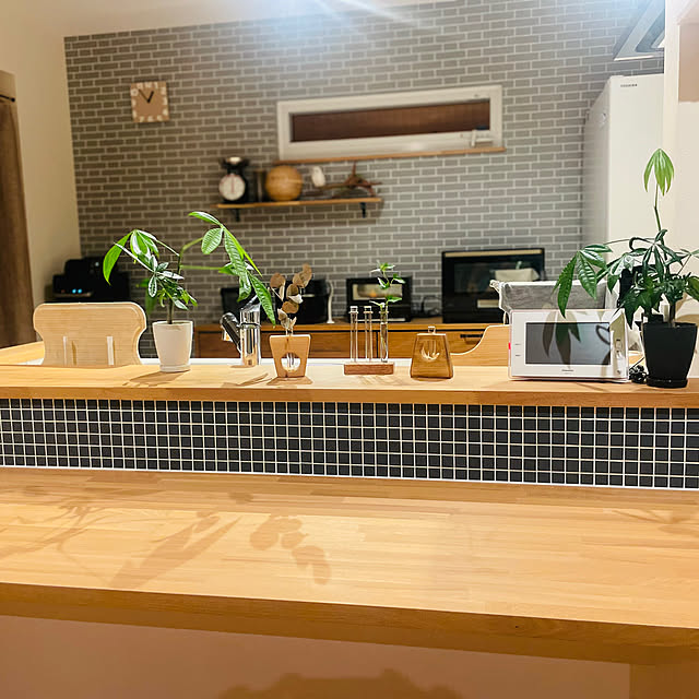 キッチン/観葉植物/カフェ風のインテリア実例 - 2024-11-28 00:55:52