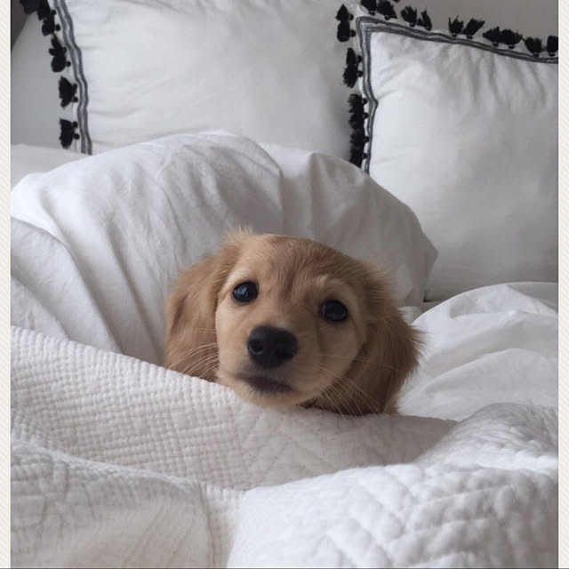 MKさんの実例写真