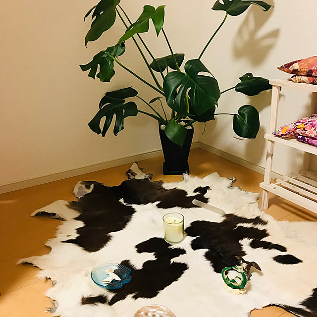kishicaさんの実例写真