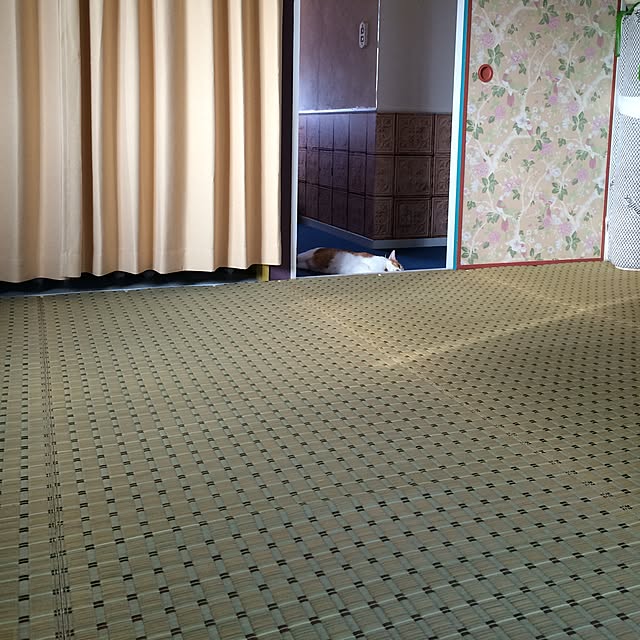 himenekoさんの実例写真