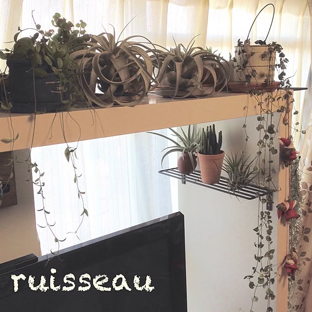 ruisseauさんの実例写真
