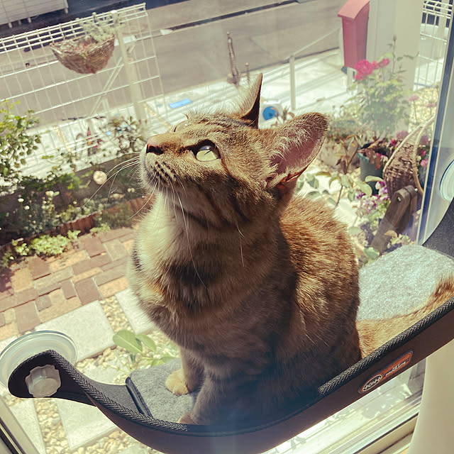 monmonさんの実例写真