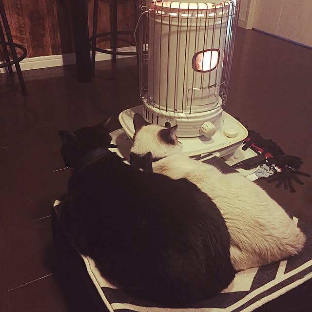 momocoさんの実例写真