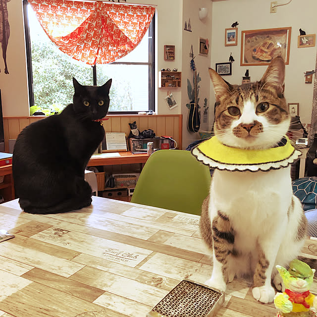 jijiさんの実例写真