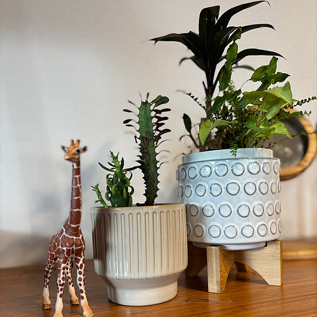 a-ya-m.homeさんの部屋