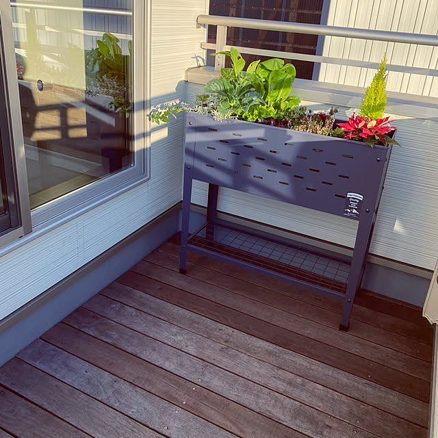 Ba-Beeさんの部屋