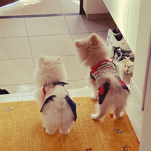 choco.0808kaさんの実例写真