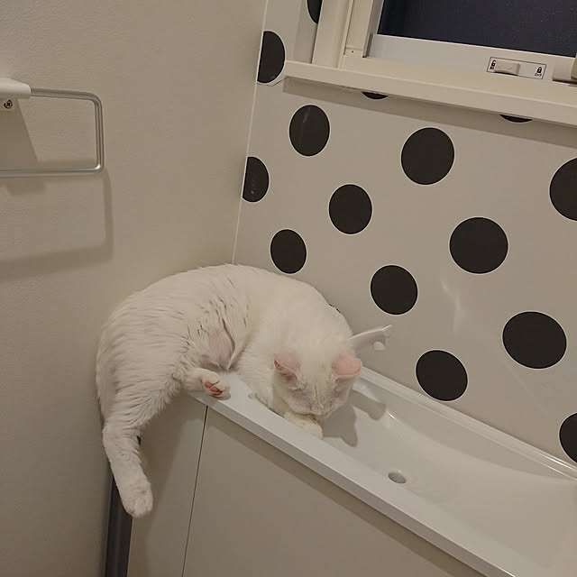 jijicoさんの実例写真