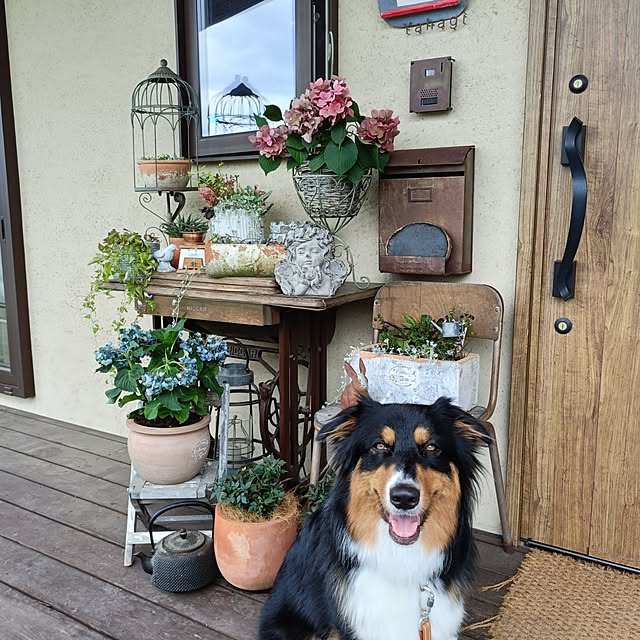 4kidsmamaさんの実例写真