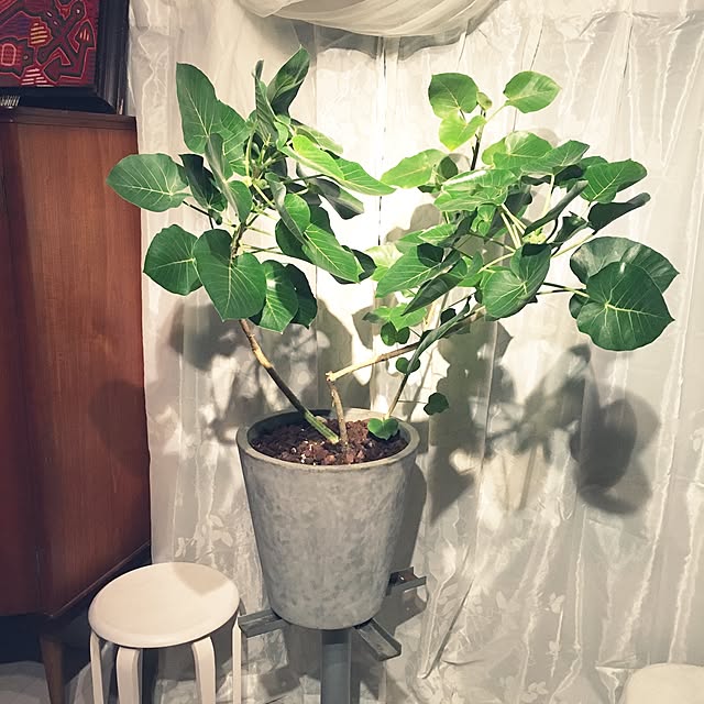 Kiminobuさんの実例写真