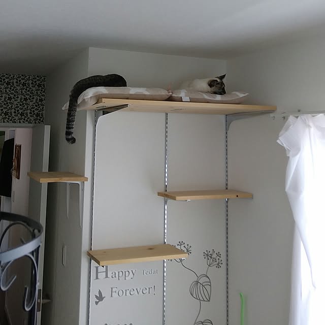 Gomaさんの実例写真